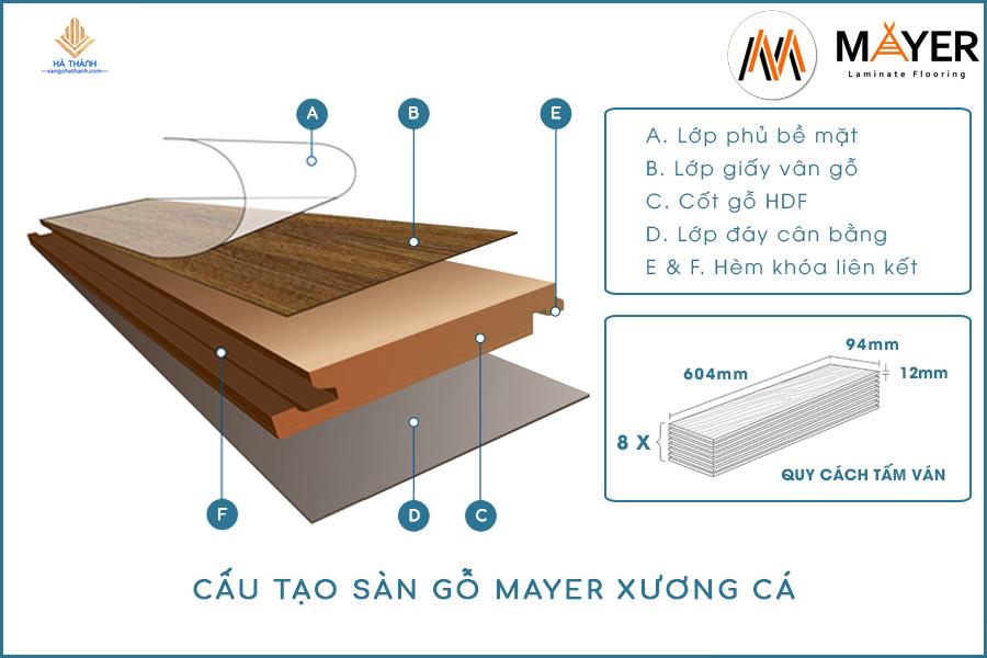 cấu tạo sàn xương cá mayer